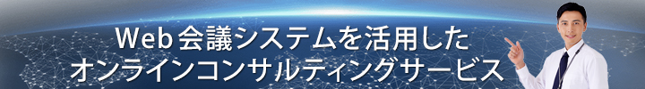 Web会議システム活用コンサルティング