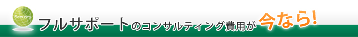 フルサポートのコンサルティング費用