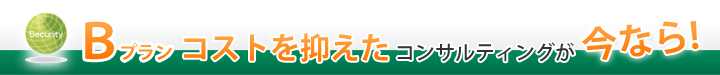 Bプラン コストを抑えたコンサルティング